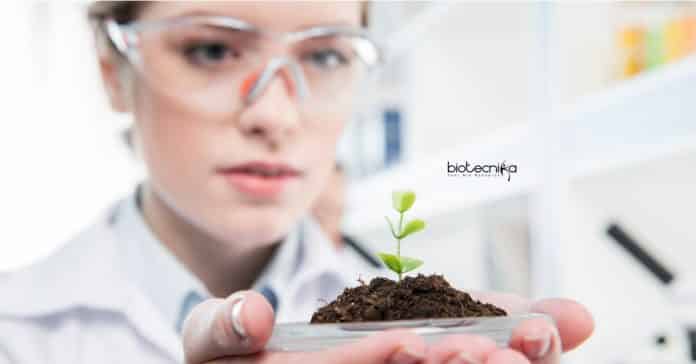 ICRISAT Biological Sciences