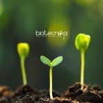 ICRISAT Associate Scientist PhD Mol Biology & Biotech Job Opening ICRISAT PhD Biotech Jobs