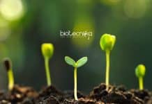 ICRISAT Associate Scientist PhD Mol Biology & Biotech Job Opening ICRISAT PhD Biotech Jobs