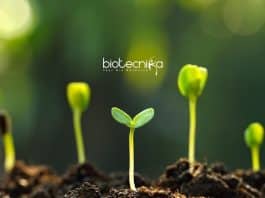 ICRISAT PhD Biotech Jobs