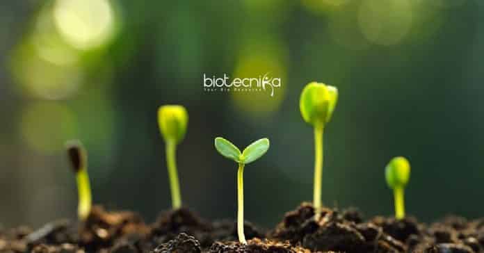 ICRISAT PhD Biotech Jobs