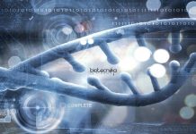 ICRISAT Senior Research Fellow Jobs – Computational Biology Apply ICRISAT Senior Research Fellow