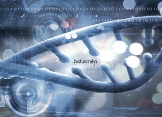 ICRISAT Senior Research Fellow