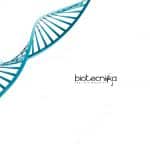 IIT Delhi Biology/Biotechnology Research Fellow Job Opening IIT Delhi Biology Job