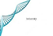 IIT Delhi Biology/Biotechnology Research Fellow Job Opening IIT Delhi Biology Job