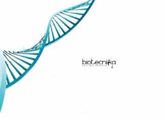 IIT Delhi Biology Job