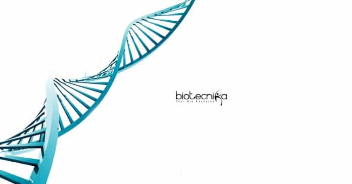 IIT Delhi Biology Job
