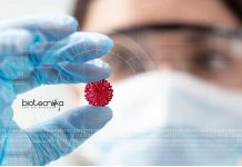 IIT Delhi Formulations for Viral Decontamination Project Recruitment IIT Delhi Biotech JRF