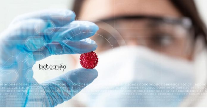 IIT Delhi Biotech JRF