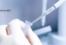 IIT Delhi Genetics Job
