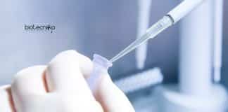 IIT Delhi Genetics Job