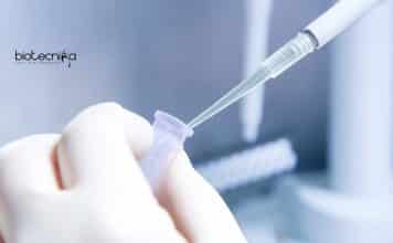 IIT Delhi Biochem/Microbio/Biotech & Genetics Junior Research Fellow Job IIT Delhi Genetics Job