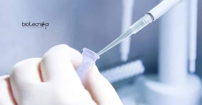 IIT Delhi Genetics Job