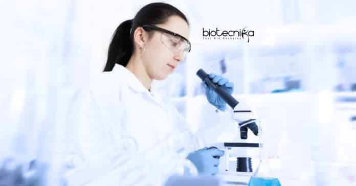 IIT Kharagpur JRF/SRF Job