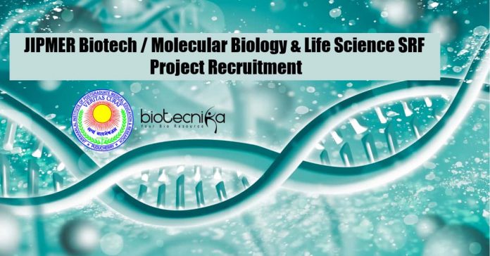 JIPMER Job Vacancy