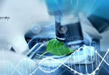 JNTBGRI Biotech & Botany Project Assistant Job – Applications Invited JNTBGRI Biotech