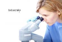 Special Centre for Molecular Medicine, JNU Life Science Research Fellow Job JNU SCMM Life Science