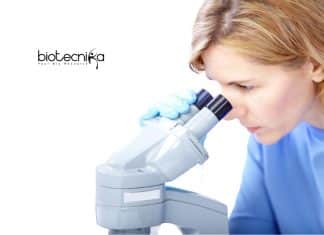 Special Centre for Molecular Medicine, JNU Life Science Research Fellow Job JNU SCMM Life Science