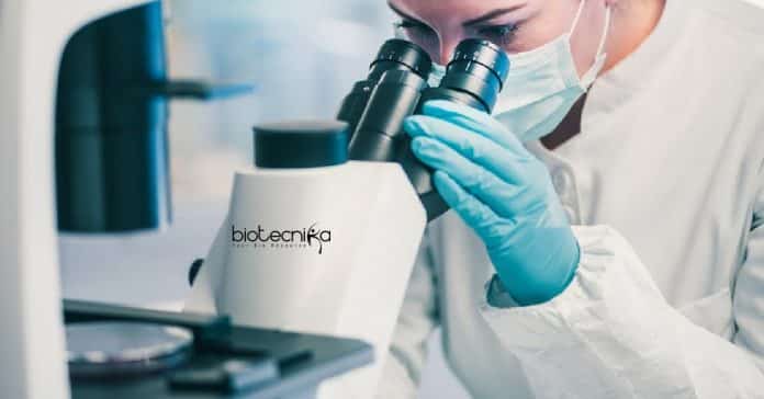 Lucknow University Life Science