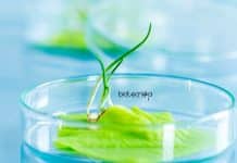 Research Student Vacancy Available at MACS ARI Pune MACS ARI Vacancy MSc