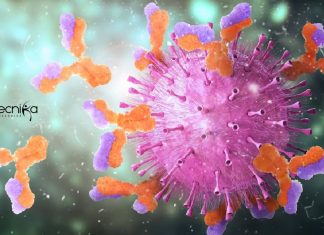 Madurai Kamaraj University Careers