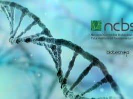 NCBS Jobs Computational Biology