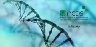 NCBS Jobs Computational Biology