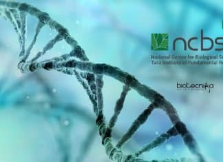 NCBS Jobs Computational Biology