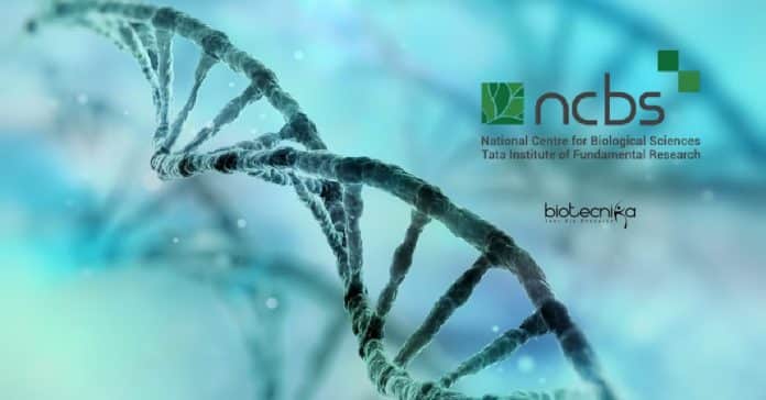NCBS Jobs Computational Biology