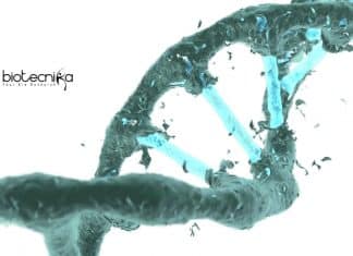 NEIGRIHMS Life Science Project Manager Recruitment – Applications Invited NEIGRIHMS Life Science