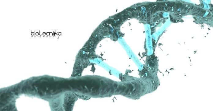 NEIGRIHMS Life Science