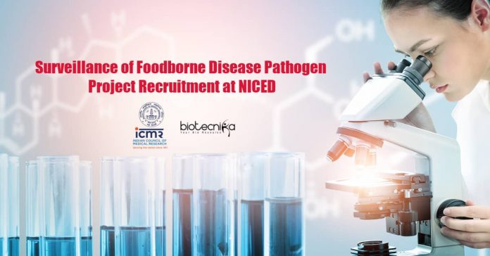 NICED Research Vacancy