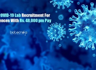 NICPR Job Openings