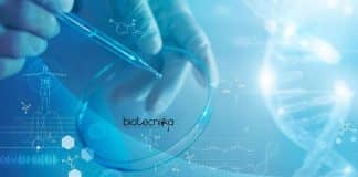NIMHANS Lifescience Job