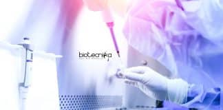 NIO Biotech Jobs