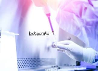NIO Biotech Jobs