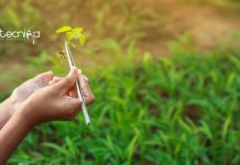 NIPGR Life Science / Plant Science & Botany Research Fellow Job NIPGR Plant Science