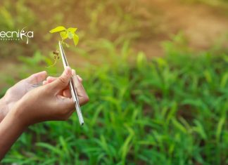 NIPGR Life Science / Plant Science & Botany Research Fellow Job NIPGR Plant Science