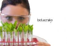 NIPGR Senior Research Fellow Job For Life Science – Apply Online NIPGR Senior Research Fellow