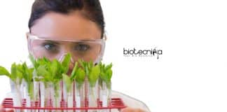 NIPGR Senior Research Fellow