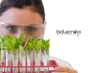 NIPGR Senior Research Fellow Job For Life Science – Apply Online NIPGR Senior Research Fellow