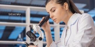 NIRRH JRF Job For