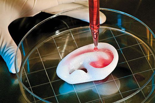 Tissue Engineering - Career Prospects