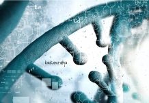 Osmania University Biotech JRF