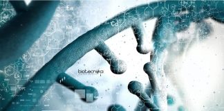 Osmania University Biotech JRF
