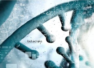 Osmania University Biotech JRF