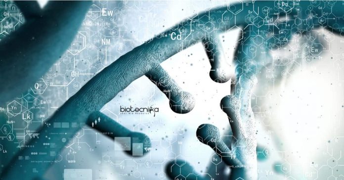 Osmania University Biotech JRF