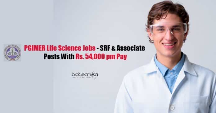 PGIMER Job Vacancies