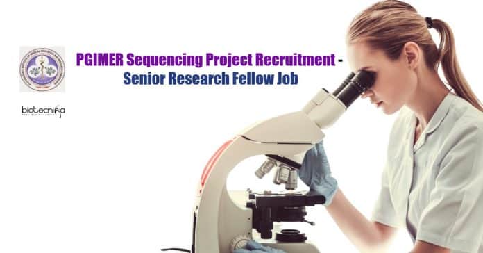 PGIMER SRF Project Job