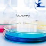 QC Microbiology Executive Job Opening at Syngene QC Microbiology